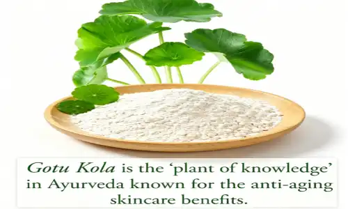 Trends of Gotu Kola Extract for Skin in Skincare Industry